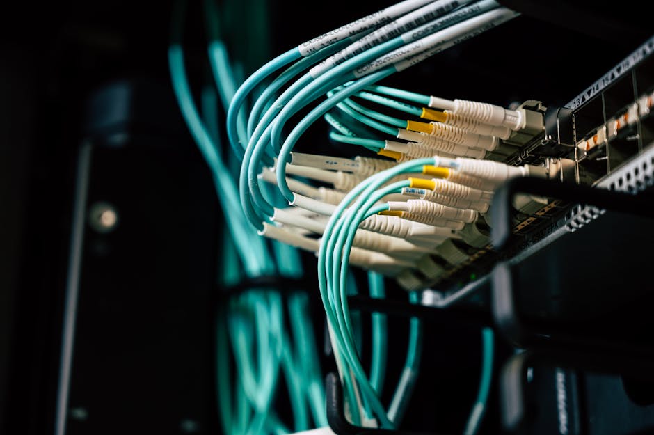 Câbles réseau dans un datacenter illustrant un hébergement web professionnel